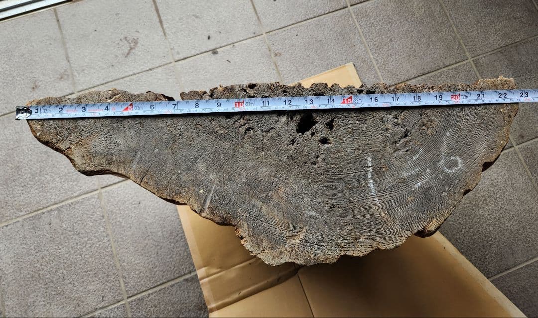 木彫り恵比寿、大黒天　置物