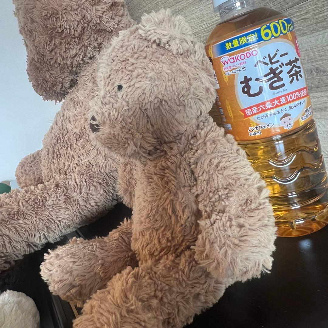 ジェリーキャット　くまさん　大きい方のみ