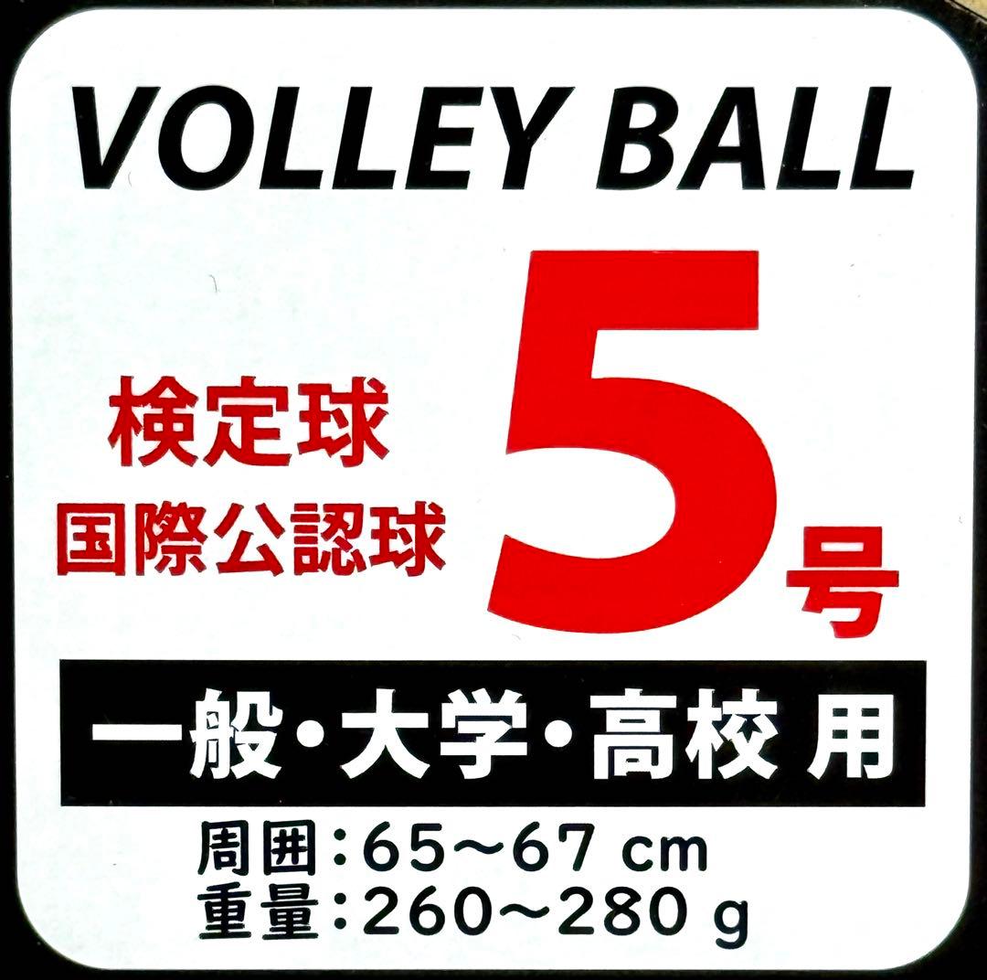 ミカサ(MIKASA) バレーボール国際公認球 検定球 5号 V200W