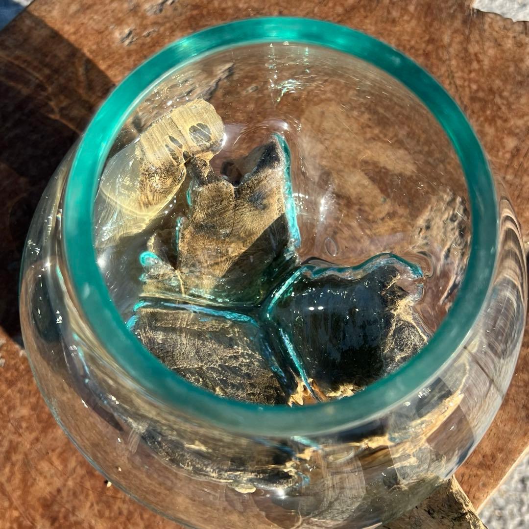 流木ガラスオブジェW18A 花瓶 金魚鉢 ガーデニング テラリウム 観賞魚 容器