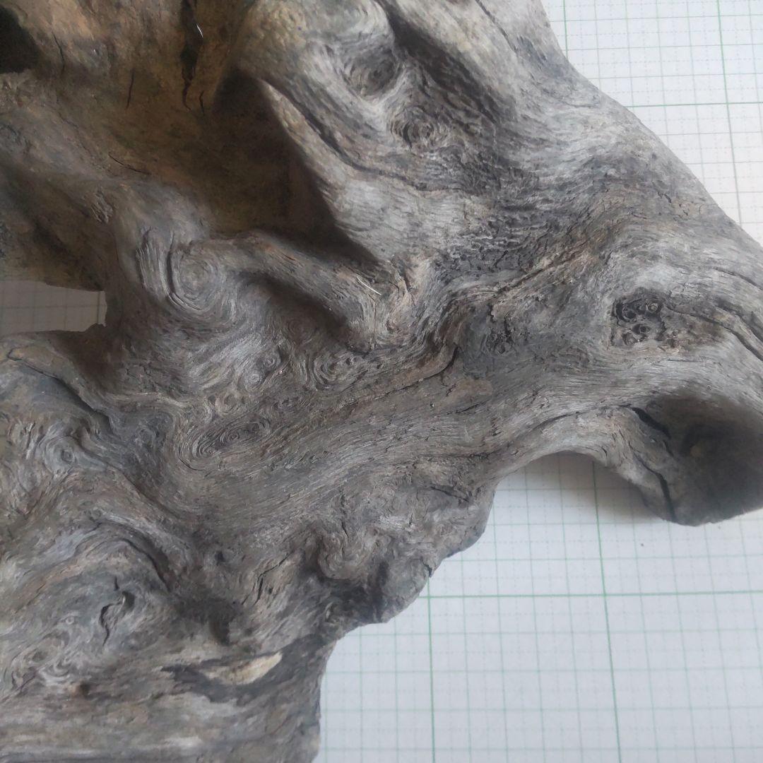 BM、珪化木セット