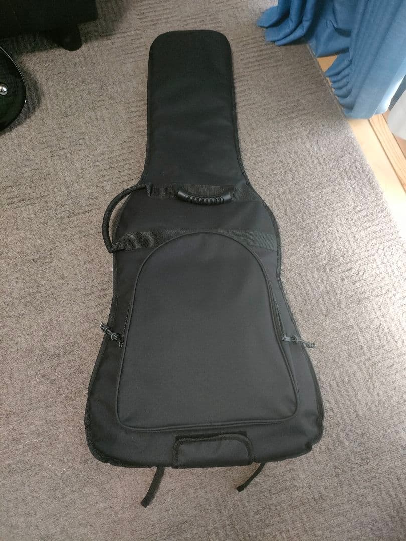 希少！Framus Dシリーズ Panthera Supreme　フラマス