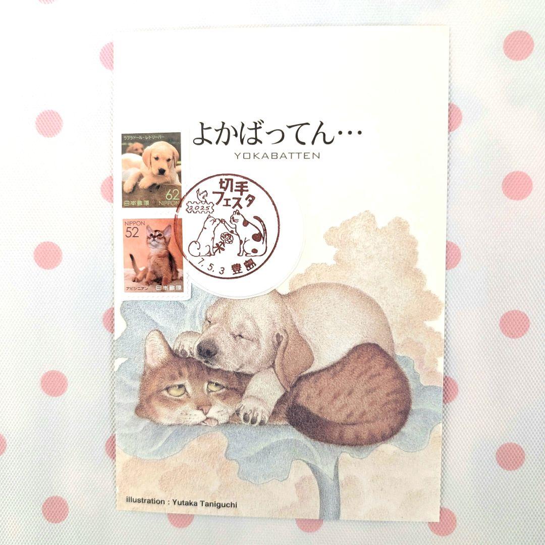 コレクション deen.like.live