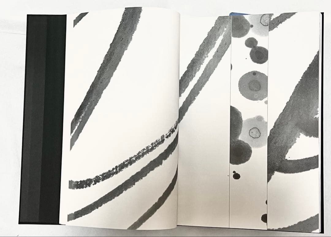 【エディションナンバー入り】長野オリ書道家 増永広春氏作品集 走墨 1999年