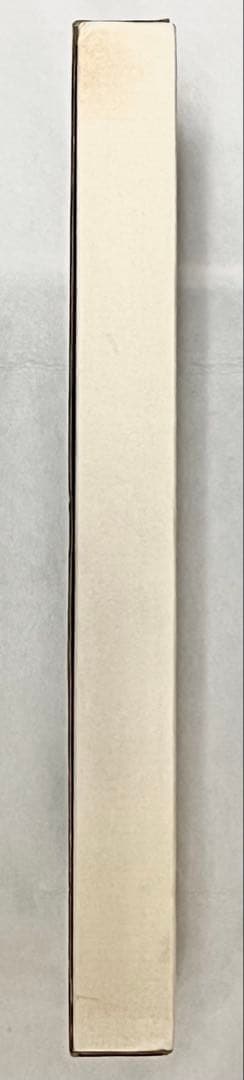 【エディションナンバー入り】長野オリ書道家 増永広春氏作品集 走墨 1999年