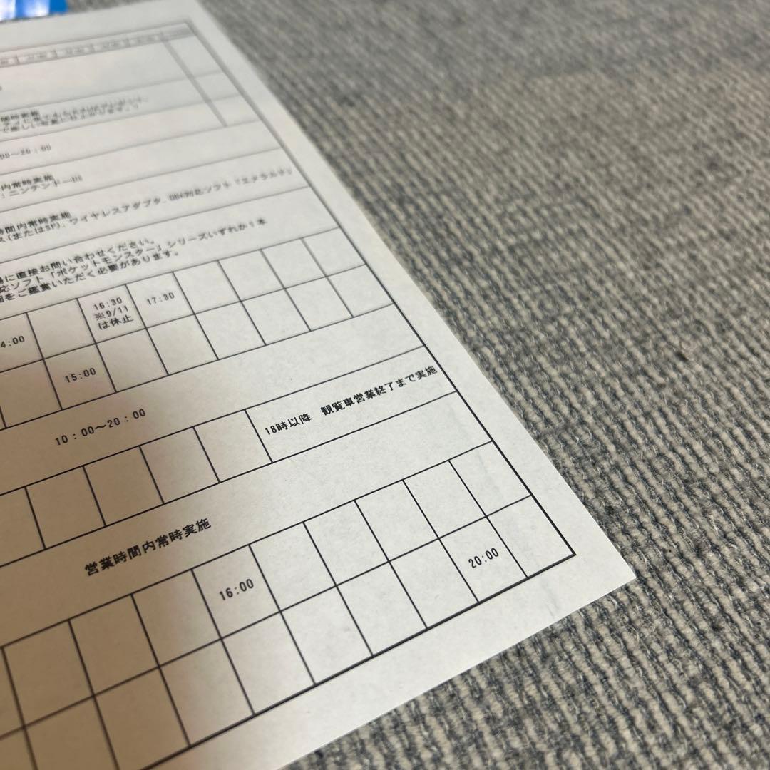 ポケパーク 2005 当時物　ガイド　前売り券チラシ　イベントスケジュール