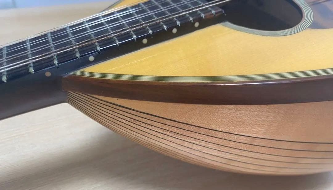 お値下げ中　カラーチェCalace マンドリン　クラシコBClassicoB