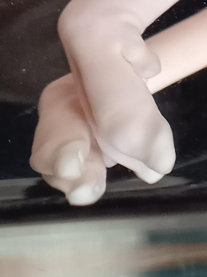 学術標本】種名ニホンジカ　胎児（♂）　エタノール浸漬標本　頭胴長約１３０ｍｍ