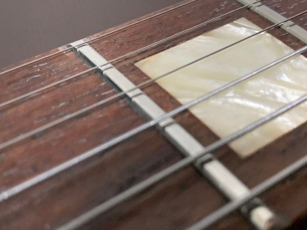 Grass Roots グラスルーツ G-I-48 LP INORAN #2