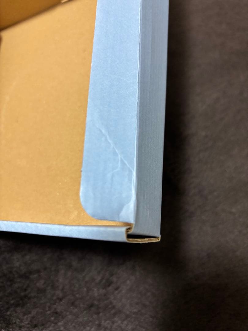 【説明追記あります】hide 17th Memorial プレート 2枚セット