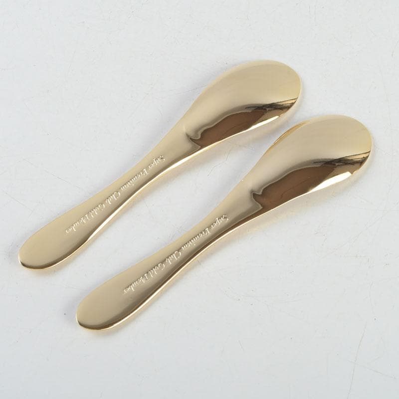 ハーゲンダッツ　スーパープレミアムクラブ　カップ＆スプーン　C　9370