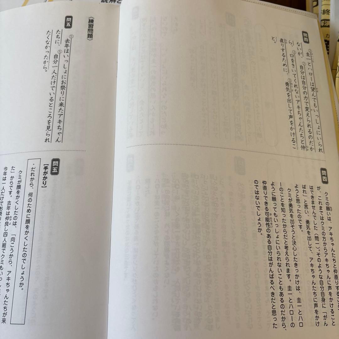 SAPIX小学4年　国語デイリーサピックス春期夏期冬期講習セット