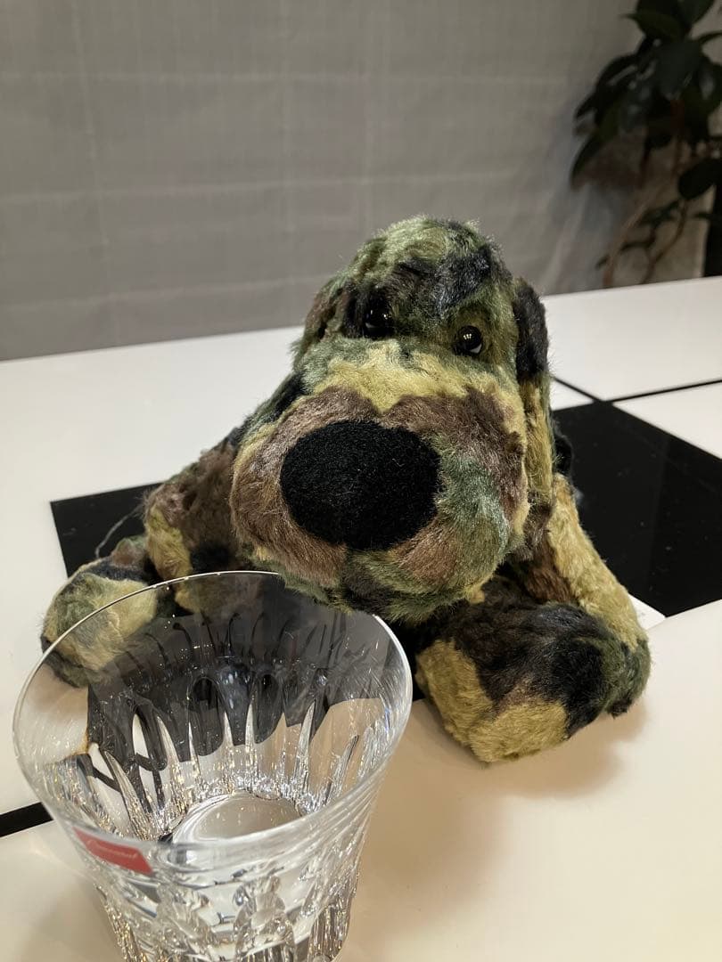 ★★ SONGです★★ 子犬のるーくL　カモフラフィールド