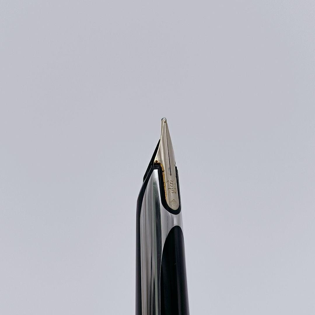 万年筆 WATERMAN C/F シルバーモアレ 18k ウォーターマン