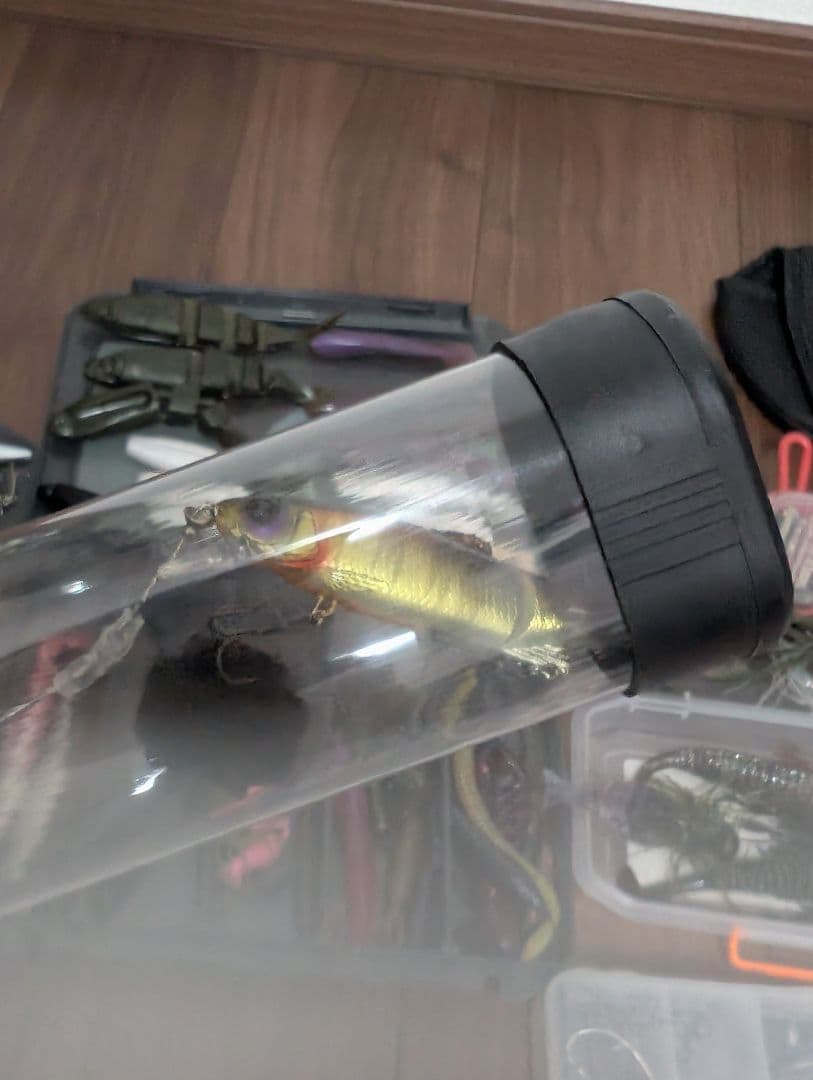 フィッシングルアーセット 　お得