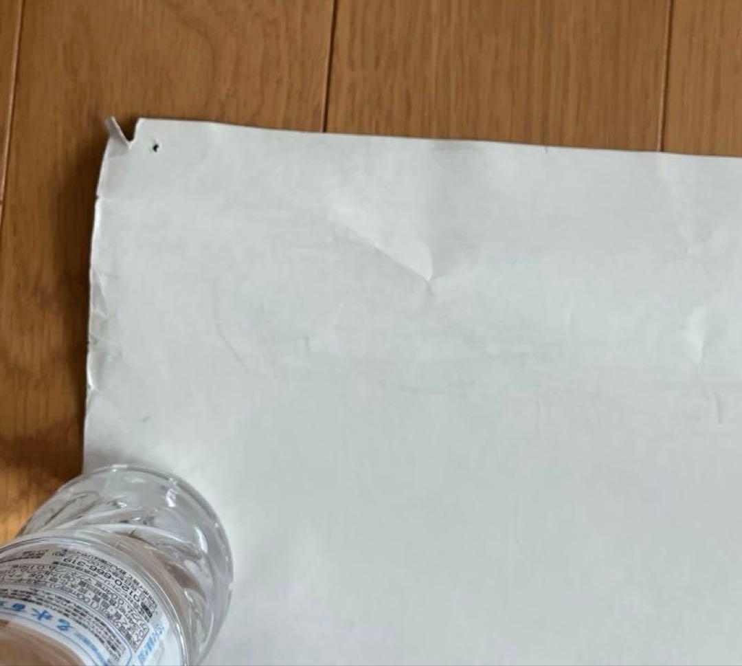 RED HOT CHILI PEPPERS ポスター　　レッチリポスター