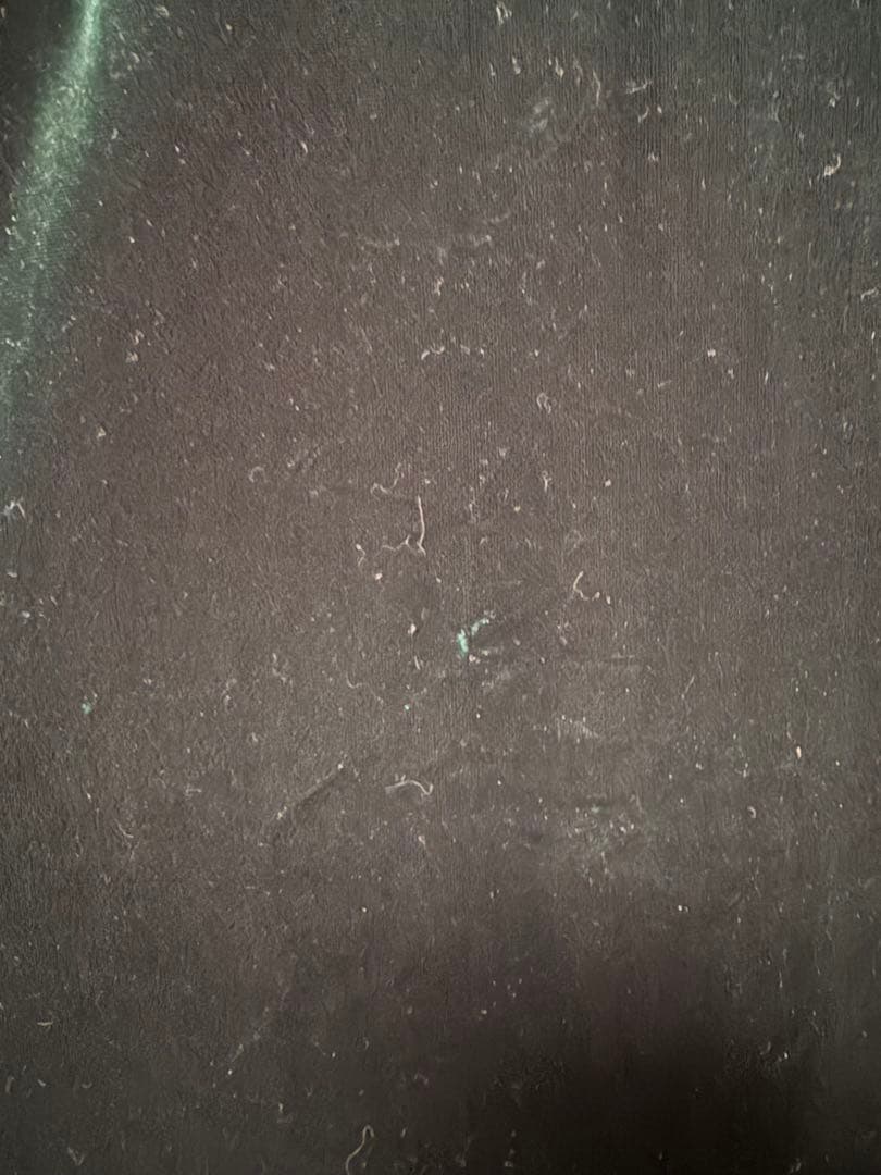 uino!☆ハワイ発ブランドダークグリーンフラダンス用ベロアドレス