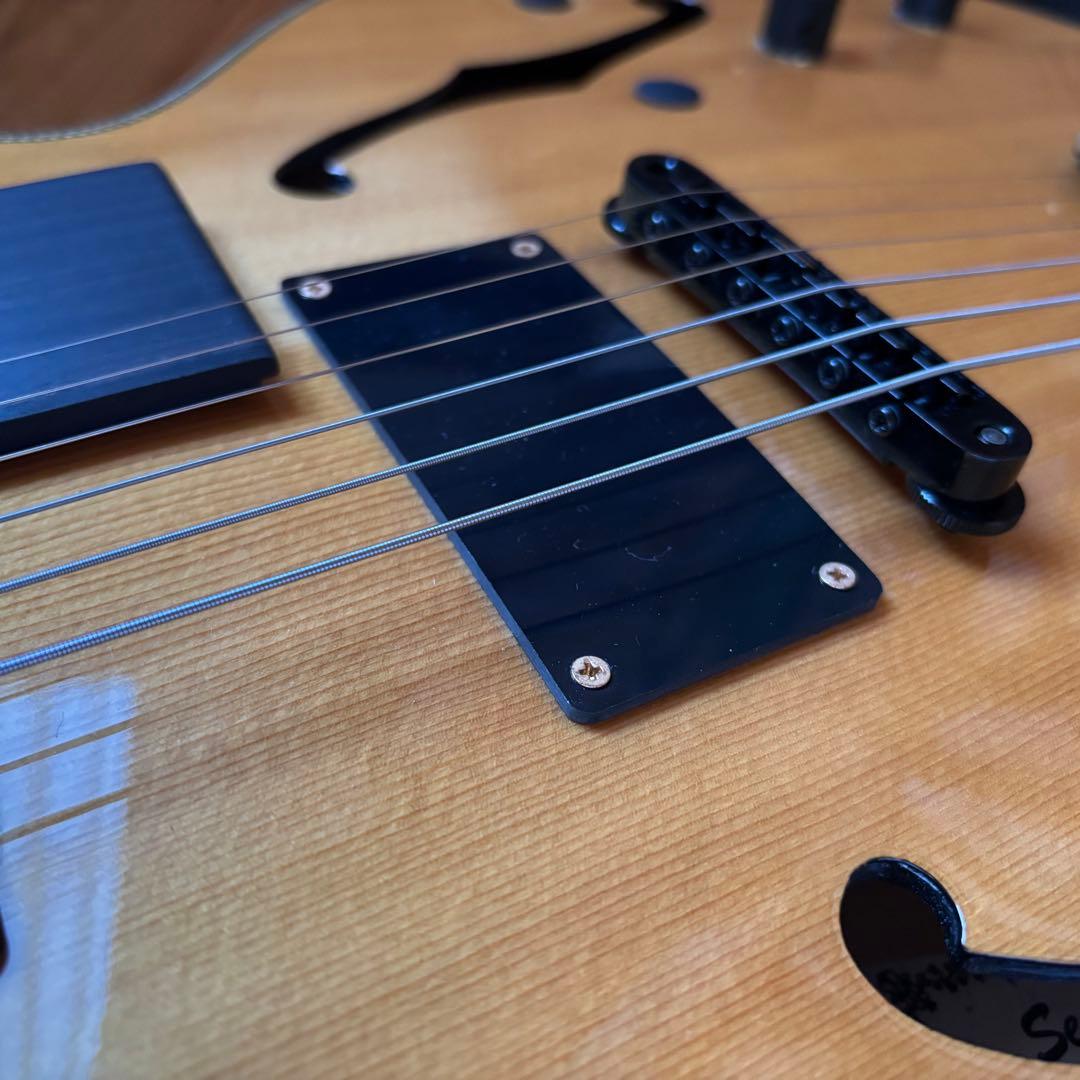 おうどん様Seventy Seven Guitars Exrubato-jazz