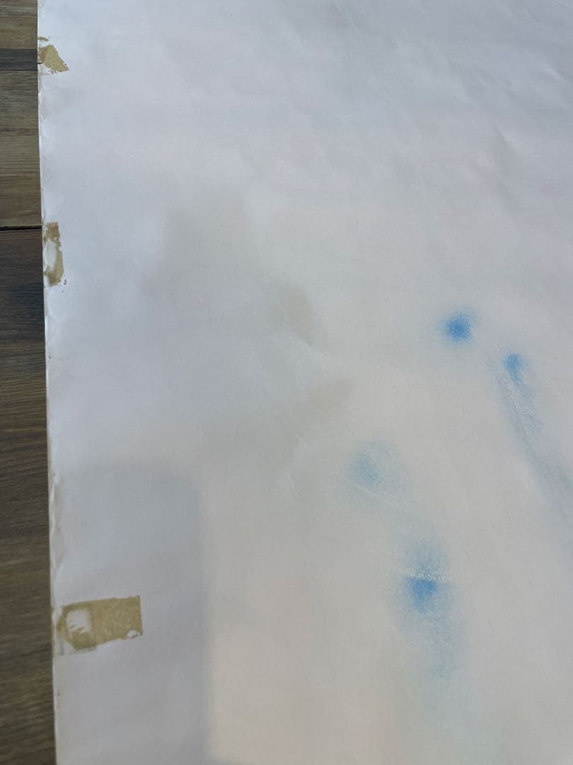 水森亜土 直筆 特大イラスト