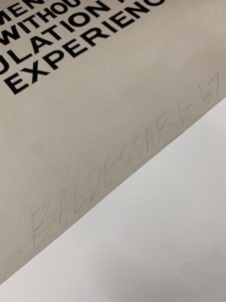 A two-dimensional surface/バルデッサリ/ポスター