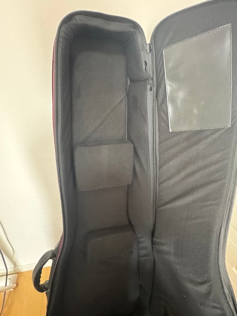 【首都圏引渡希望】Sire V7 VintageAsh 5st