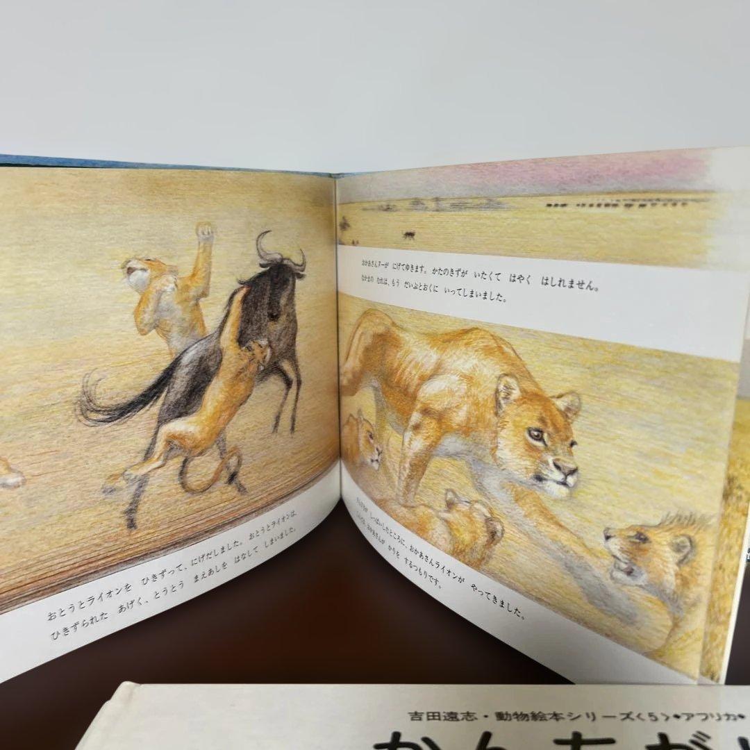 かりのけいこ、かんちがい 、はじめてのかり吉田遠志　動物絵本シリーズ アフリカ