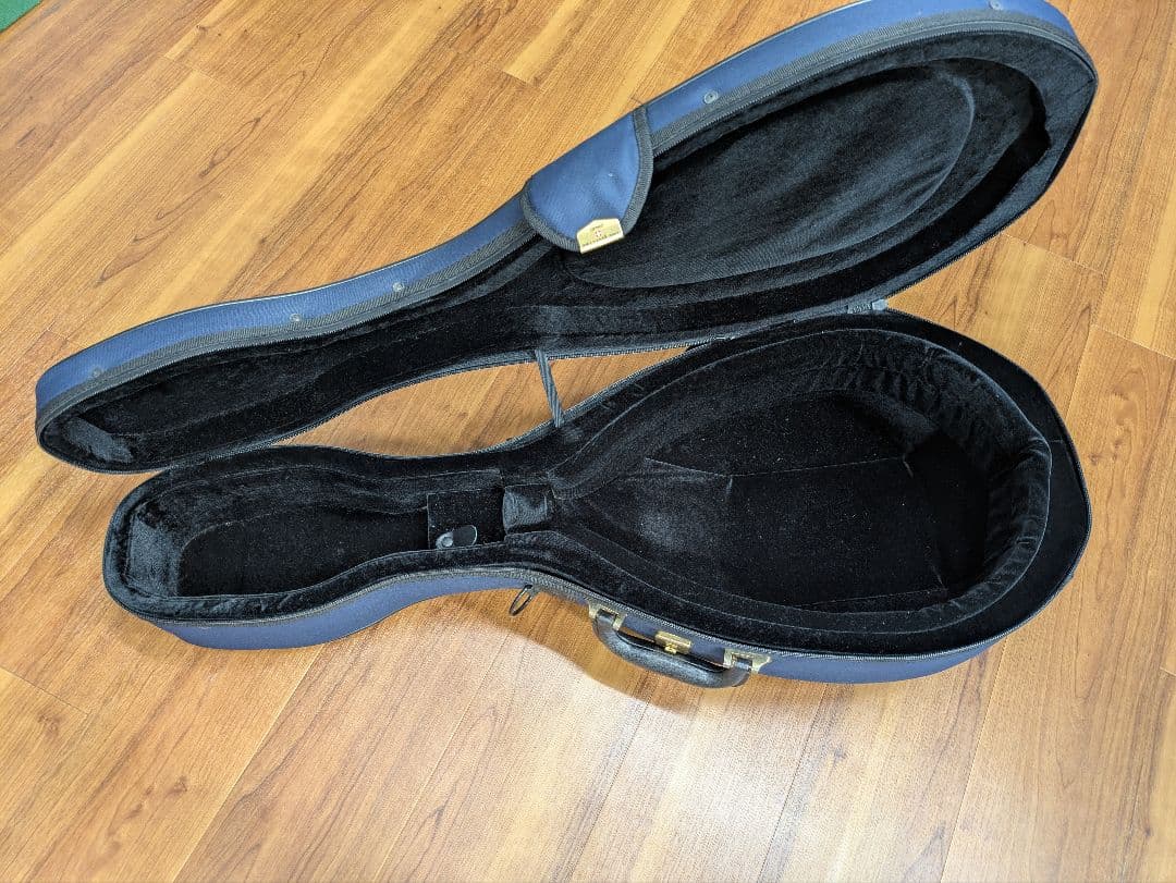 マンドラ Mandola(セミハードケース付)【落合忠男製作/特注品】