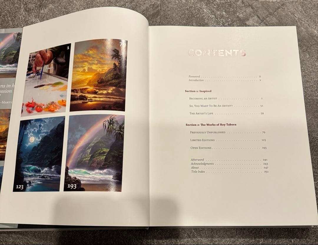 1点物　美品　ロイ.タボラ Jewel of the Night