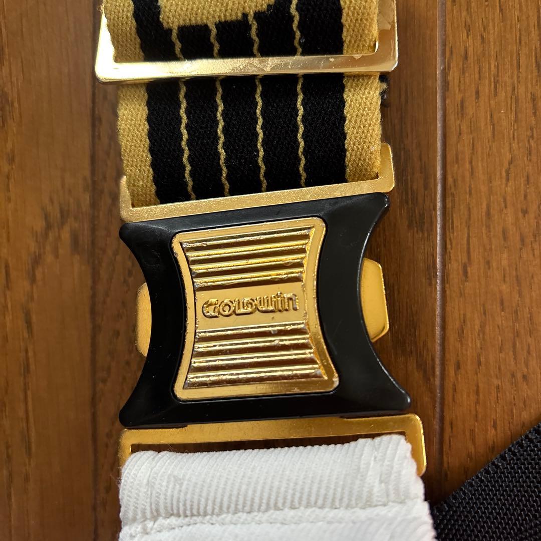 Goldwin スキーウェア カラフル上下