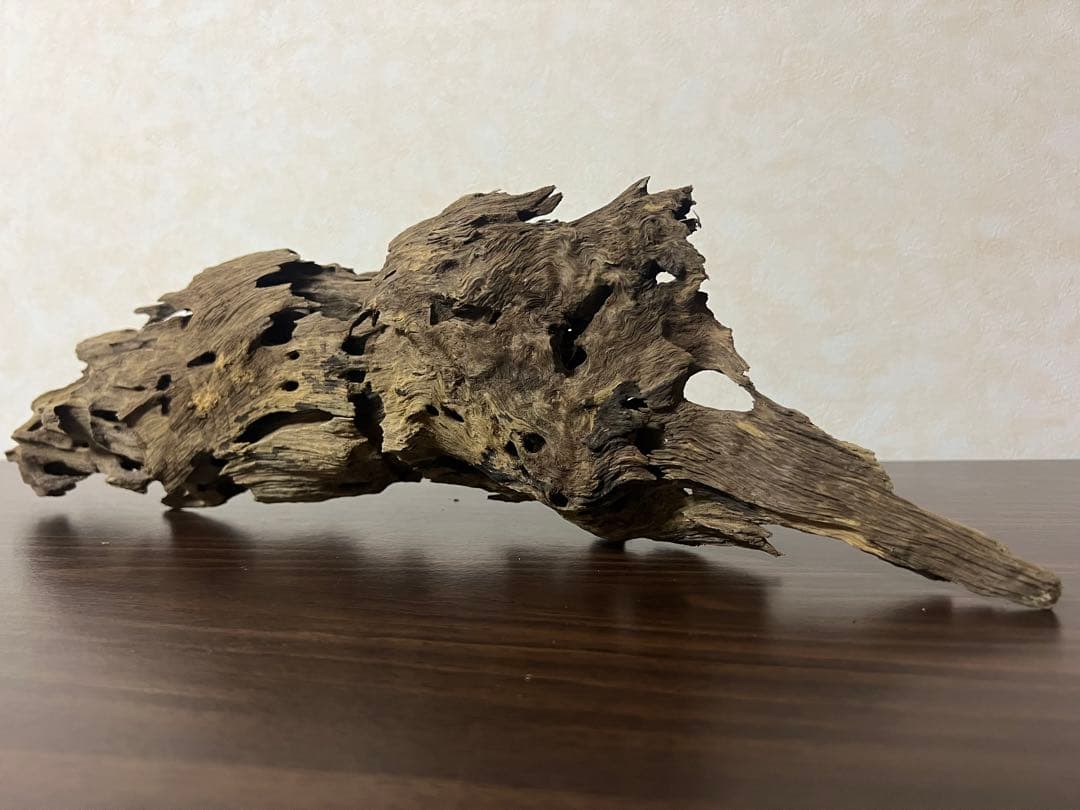XM-456 流木　マシンガンウッド　アクアリウム　ブランチウッド　沈水確認済