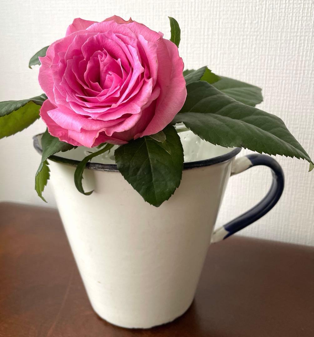 フランスアンティーク　琺瑯ジャグ　100年以上アンティーク　ピッチャー