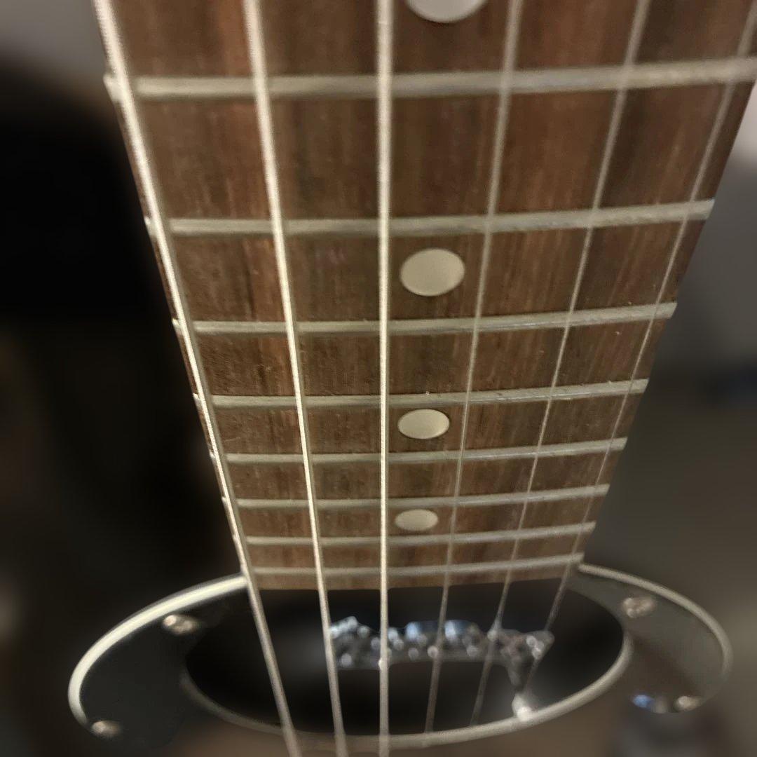 ピグノーズPGG200 ブラック