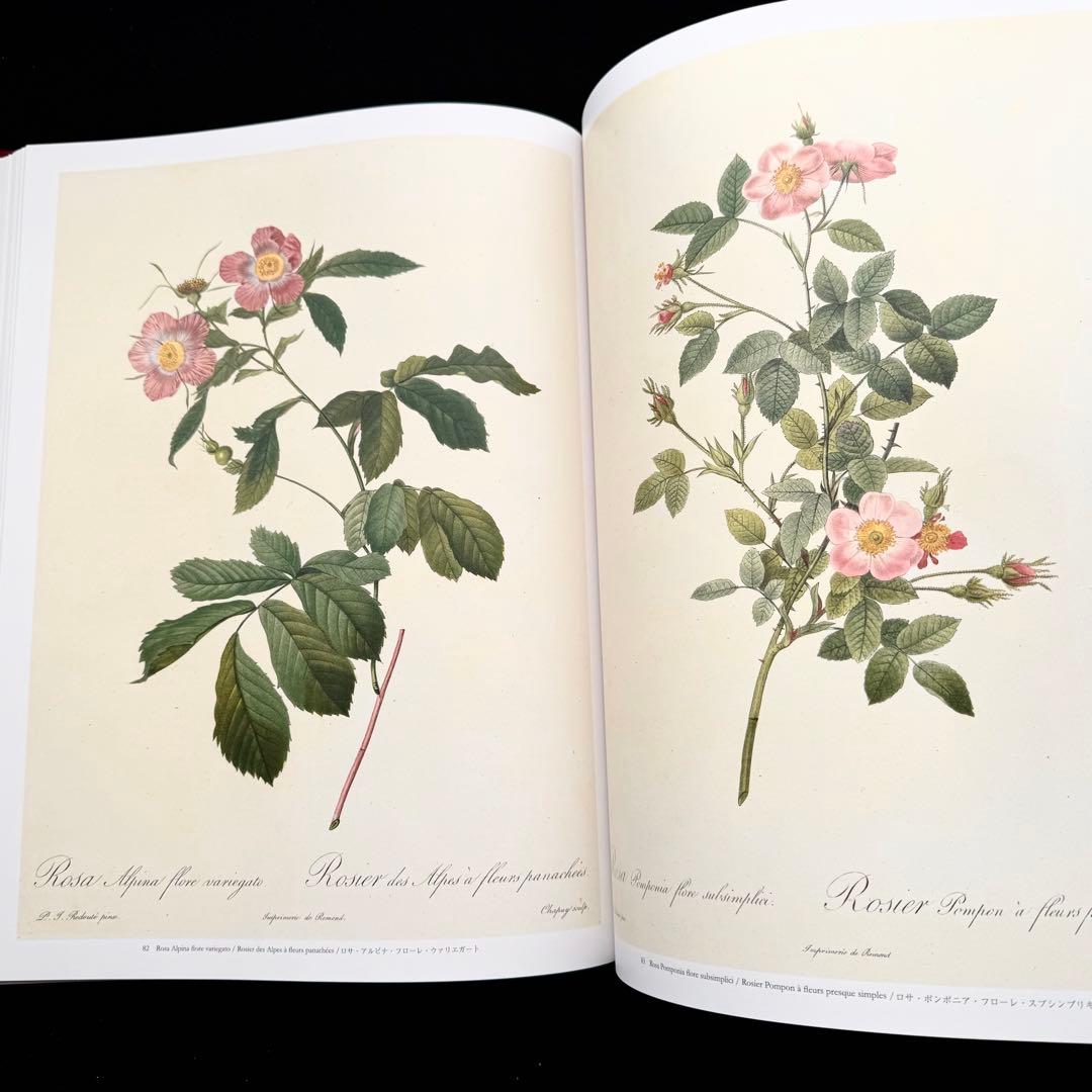 ピエール=ジョゼフ・ルドゥーテ 画集「バラ図譜 Les Roses 」豪華愛蔵版
