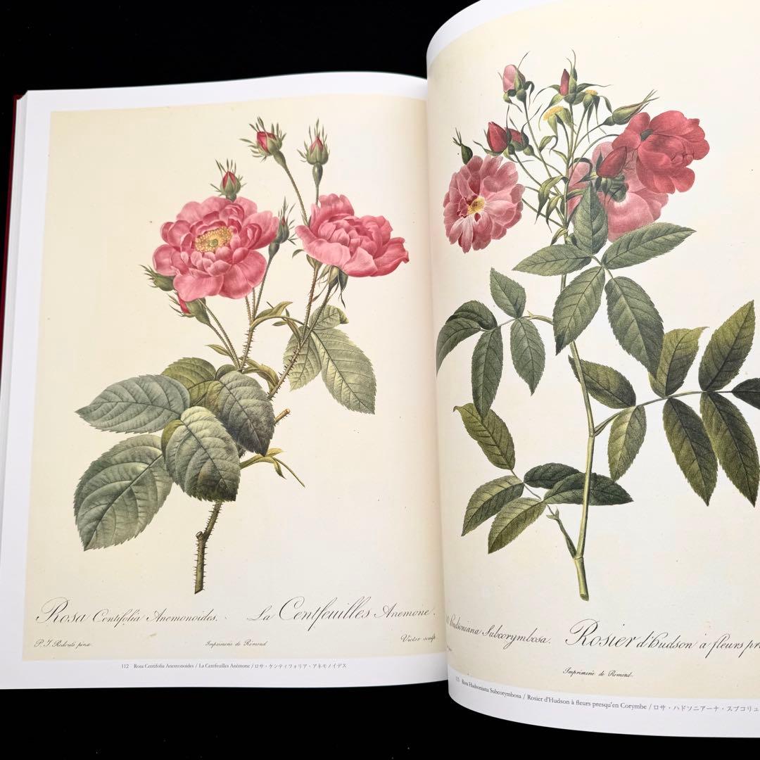 ピエール=ジョゼフ・ルドゥーテ 画集「バラ図譜 Les Roses 」豪華愛蔵版