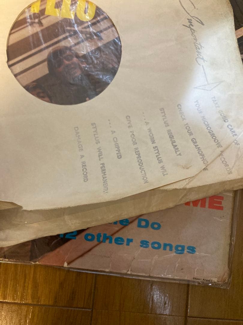 UK初回GoldビートルズPlease Please MeレコードBeatles