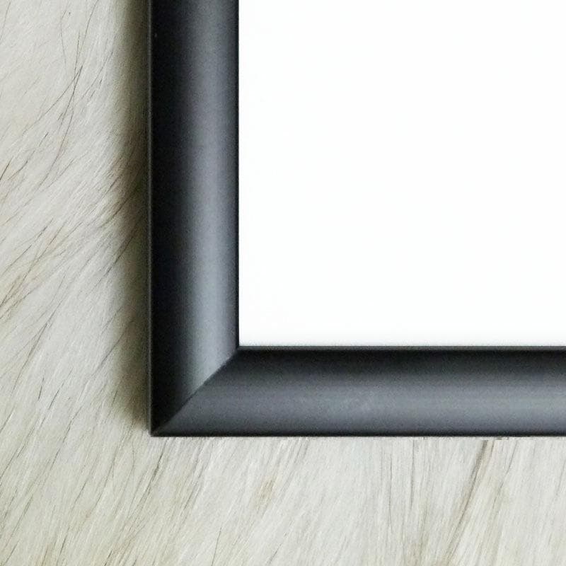 額装済/Les Elephants/サルバドール ダリ/ポスター/インテリア