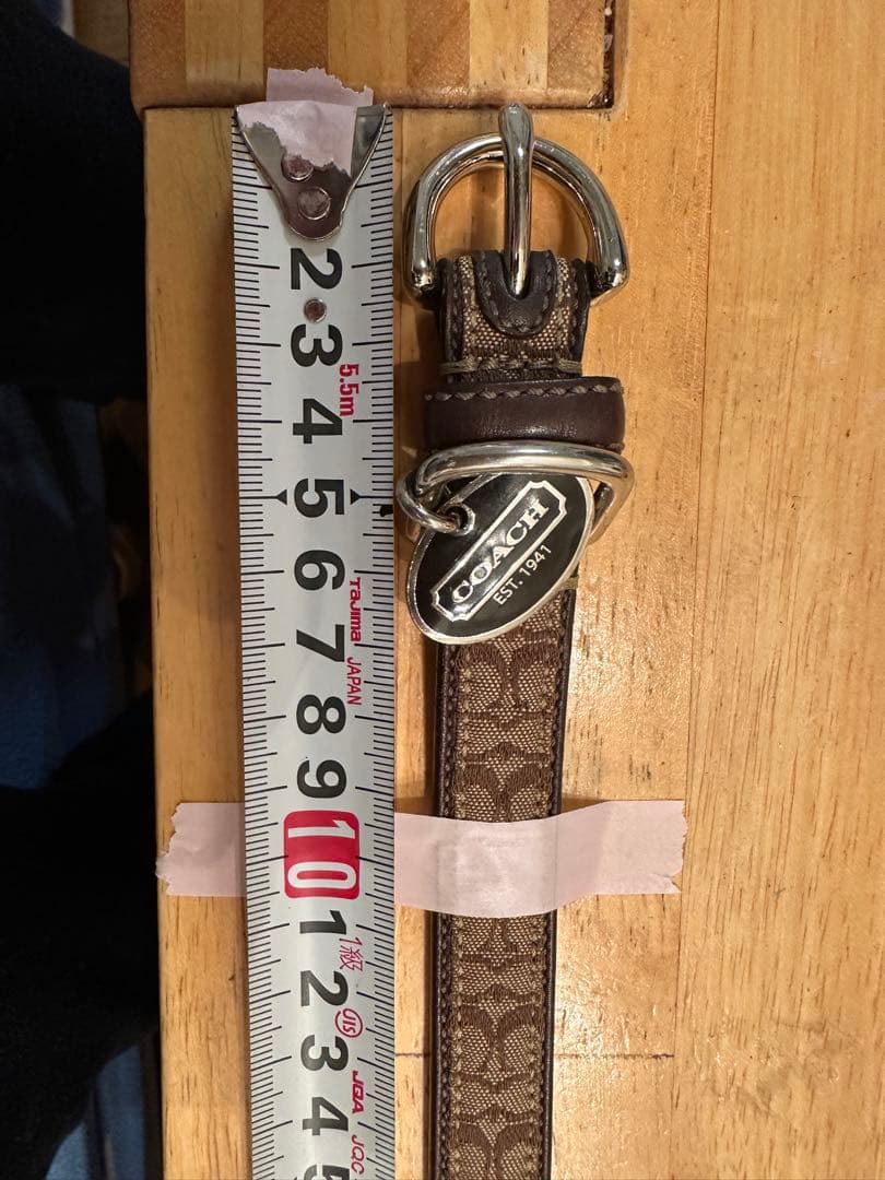 coach 犬首輪、リードセット