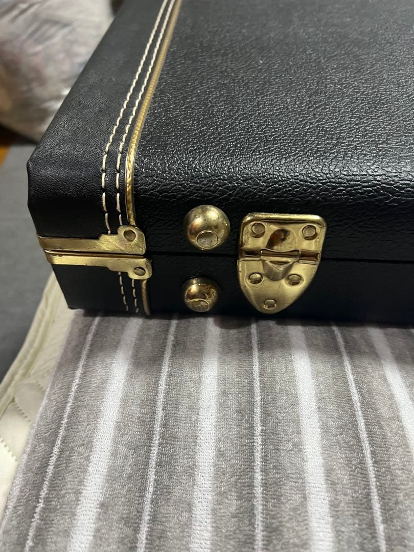 熊SCHECTER PW-EX-B-BL/FL