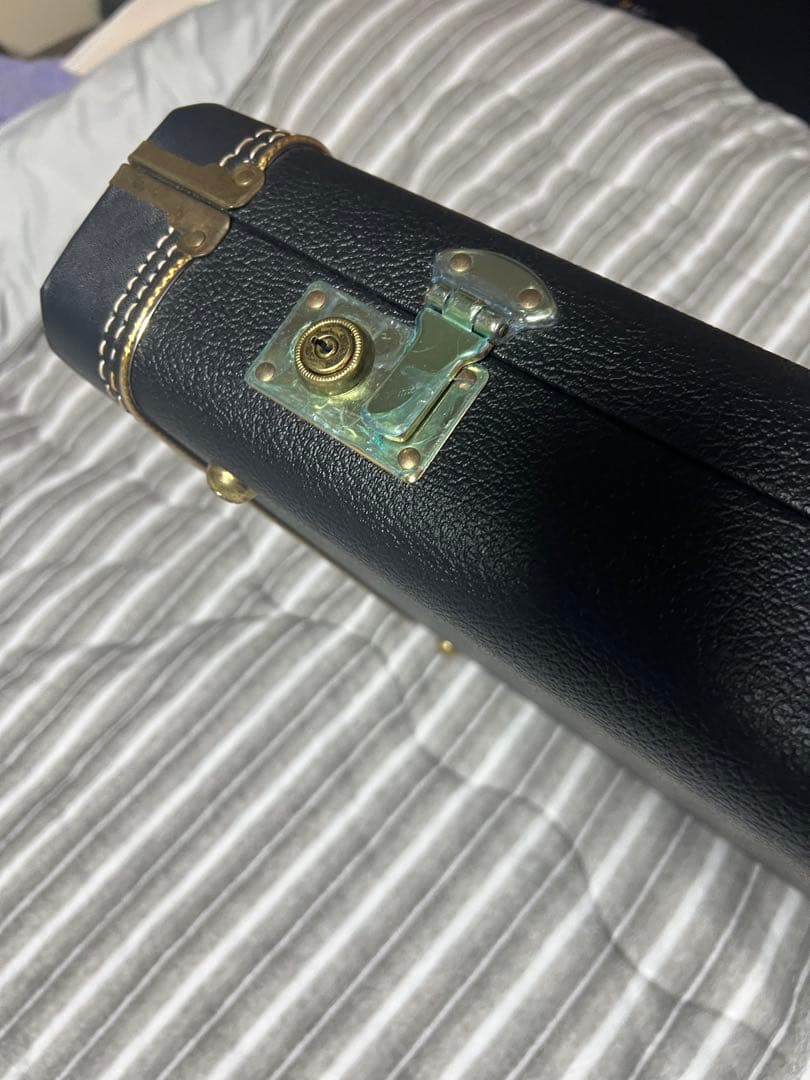 熊SCHECTER PW-EX-B-BL/FL