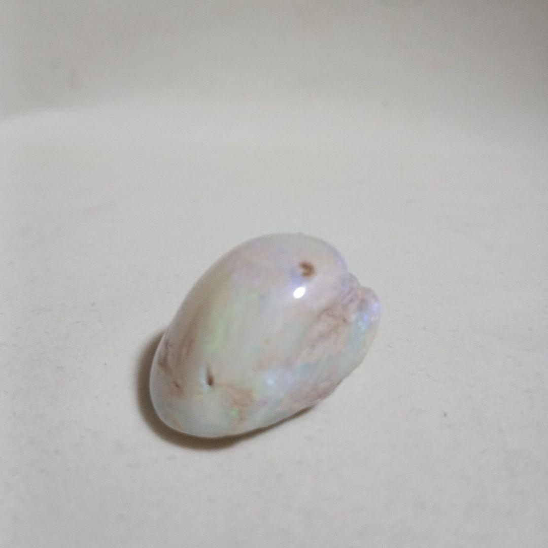 シェル オパール ルース 約3cm