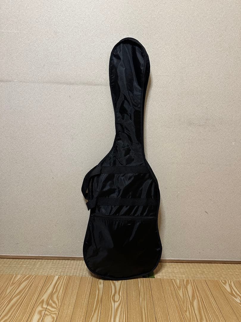 Selderブラック エレキギター