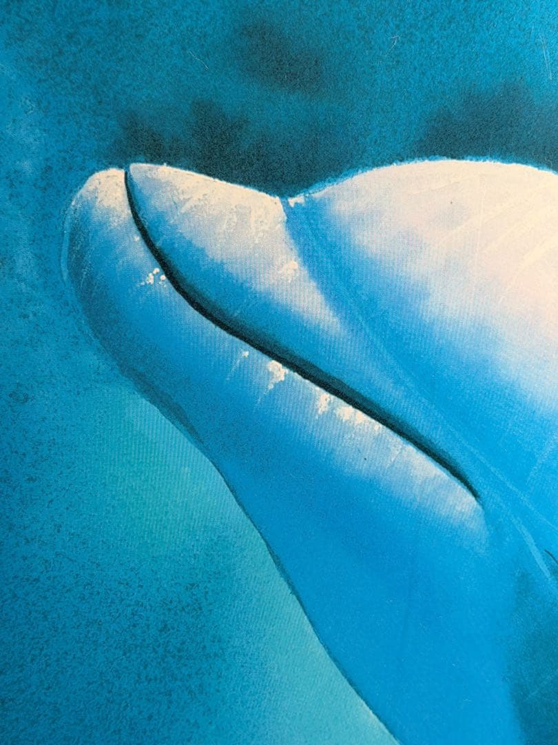 #クリスチャン・リース・ラッセン 「ドルフィン 」 ミクスドメディア版画 額装