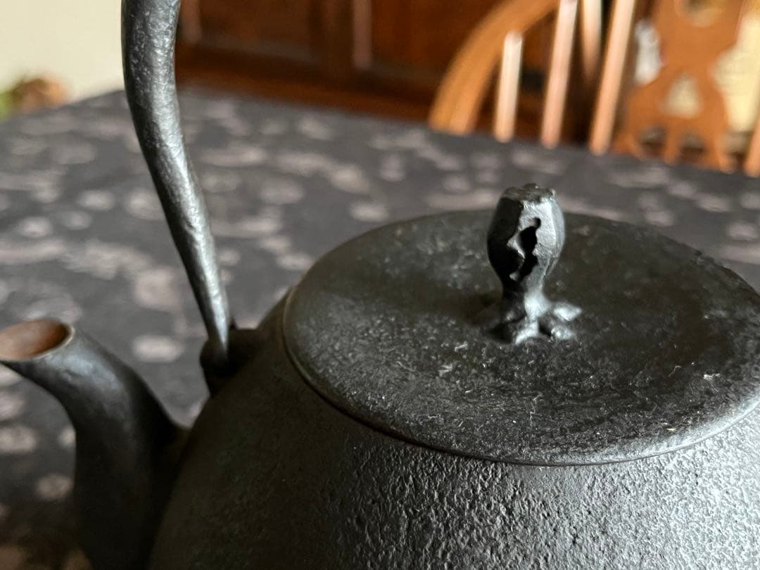 南部鉄瓶　釜定　秋の実　肌　鉄瓶