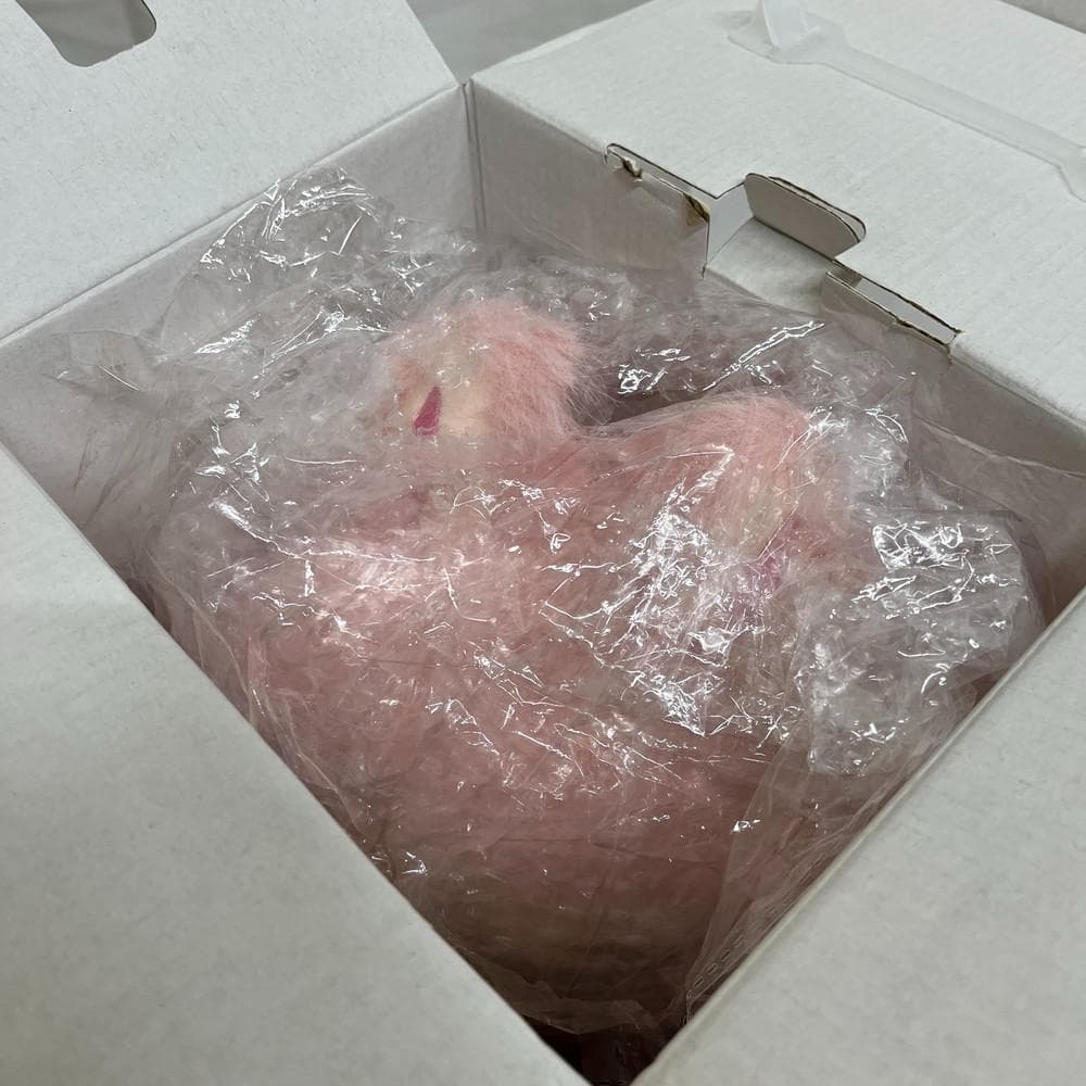 ◆特大 ZIMOMO ジモモ　オリジナル ピンク 01010