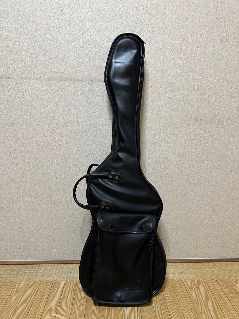 ギター CASIO PG-300