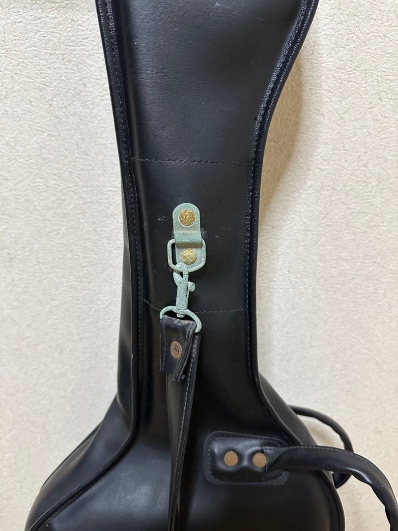 ギター CASIO PG-300