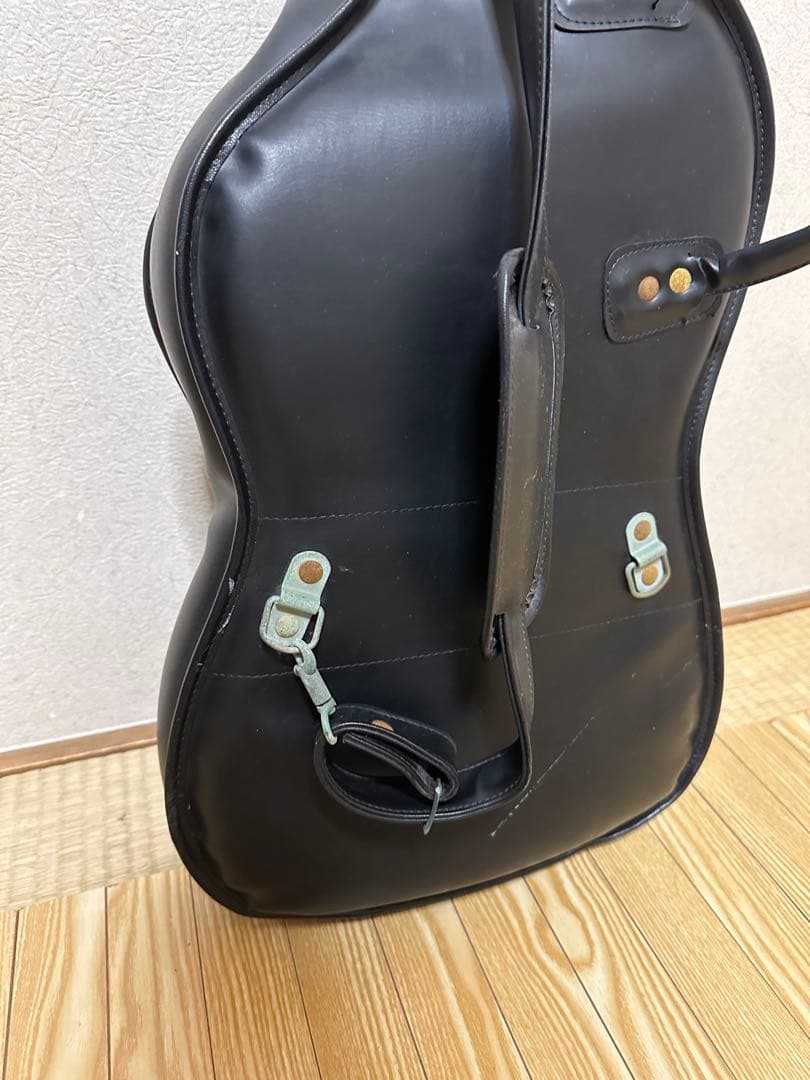 ギター CASIO PG-300