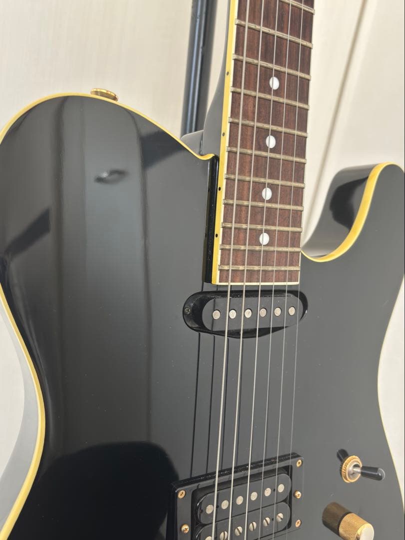 Fernandes フェルナンデス　TEJ 55g 中古
