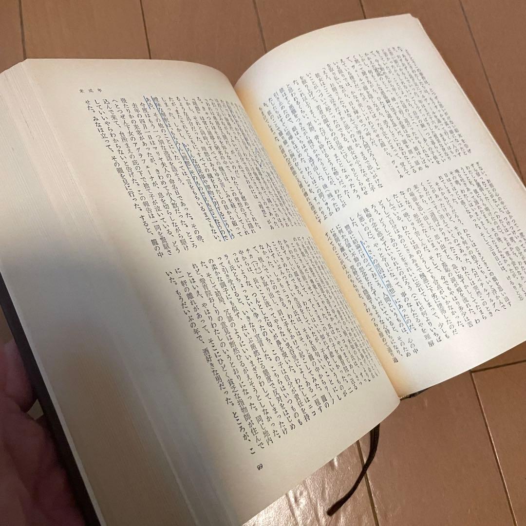 ドストエフスキー全集 18巻セット