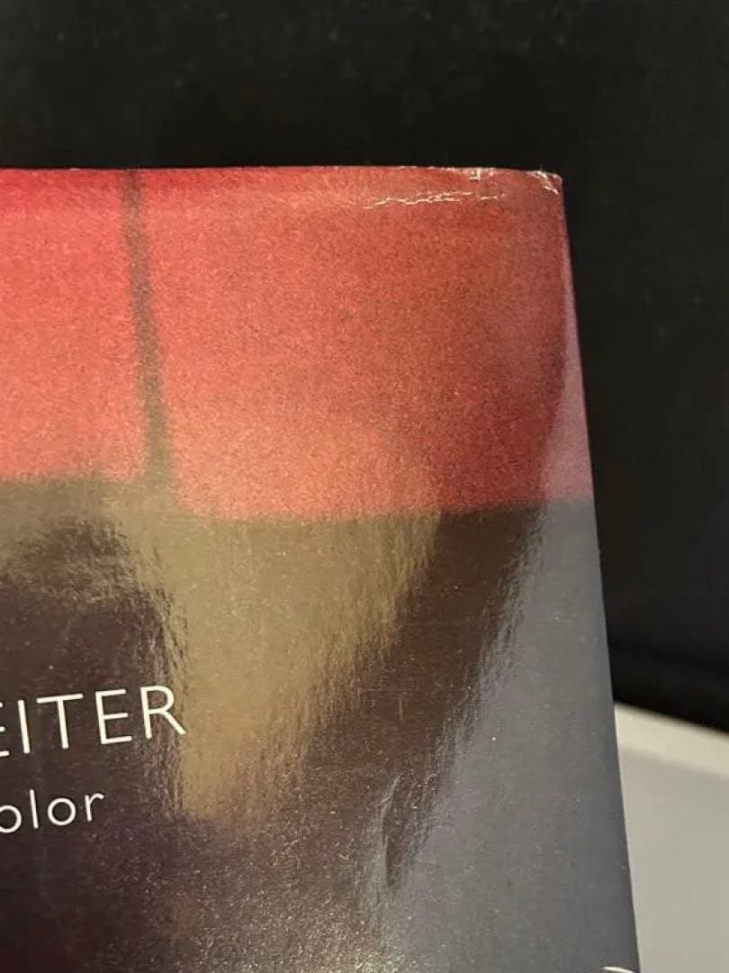 SAUL LEITER Early Color ソールライター　アーリーカラー